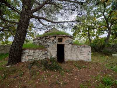 E all'esterno l'incuria dello jazzo lascia a malapena intravedere un piccolo trullo